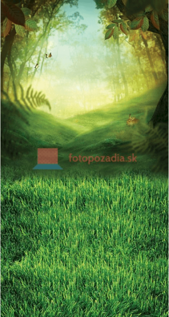 V079 - ihneď k dispozícii fotografické pozadia